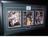 Steve Nash Triple Action Shot
