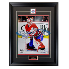 Carey Price 16x20
