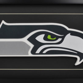 Seattle Seahawks - 3D Logo