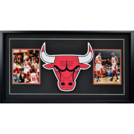 Chicago Bulls – 3D Logo